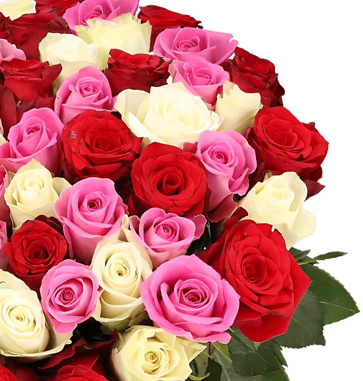 100 Rosen - "Love Loud" (2x50 Stück) - Image 2