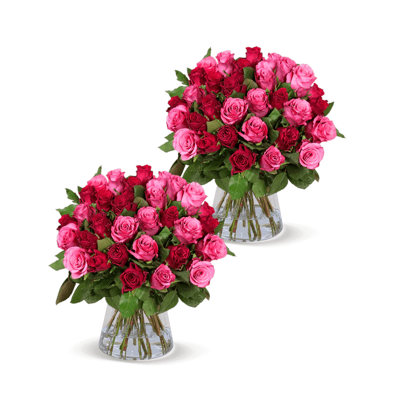 100 Rosen - "Romantic Roses" (2x50 Stück)