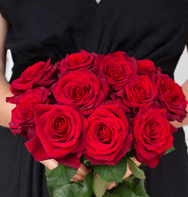 20 Premium Rosen "Red Naomi" - Image 6
