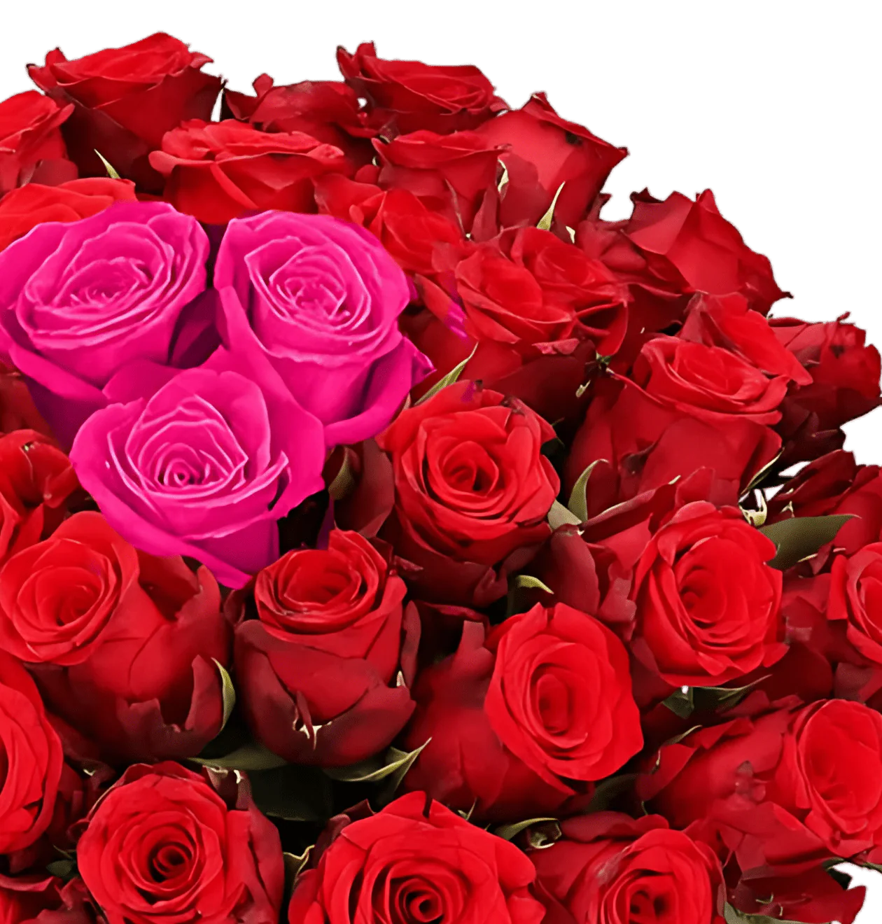 40 Rosen - “Heartbeat” - Image 2