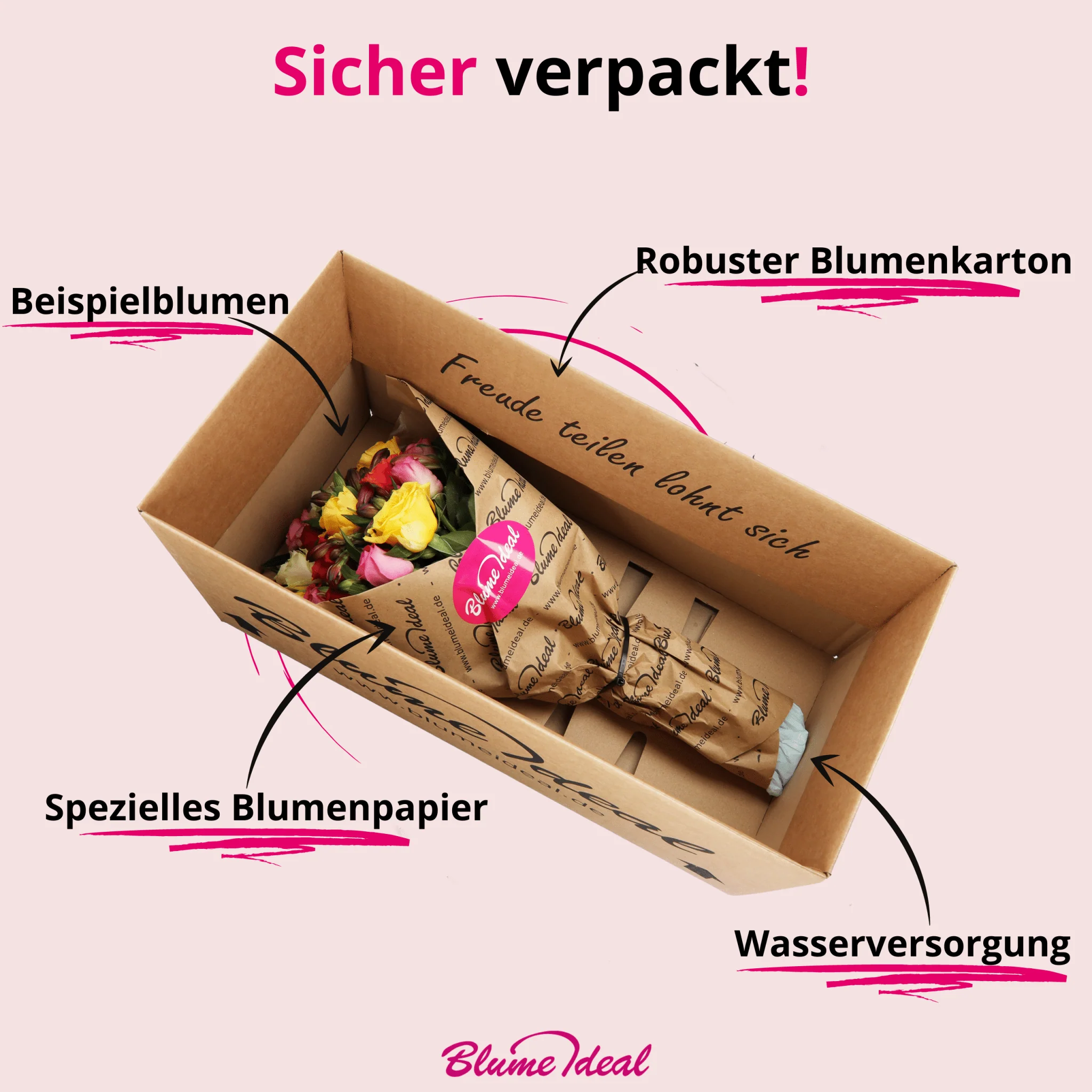 50 bunte Rosen - Image 6