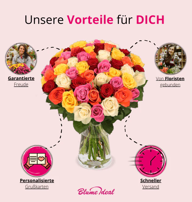 50 bunte Rosen - Image 8