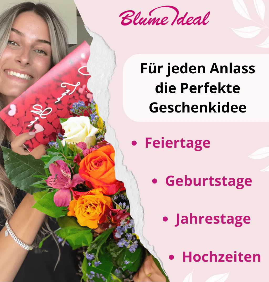 50 pinke Rosen - Image 5