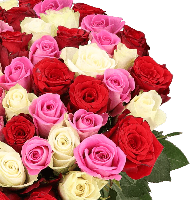 50 Rosen - Love Loud - Image 3