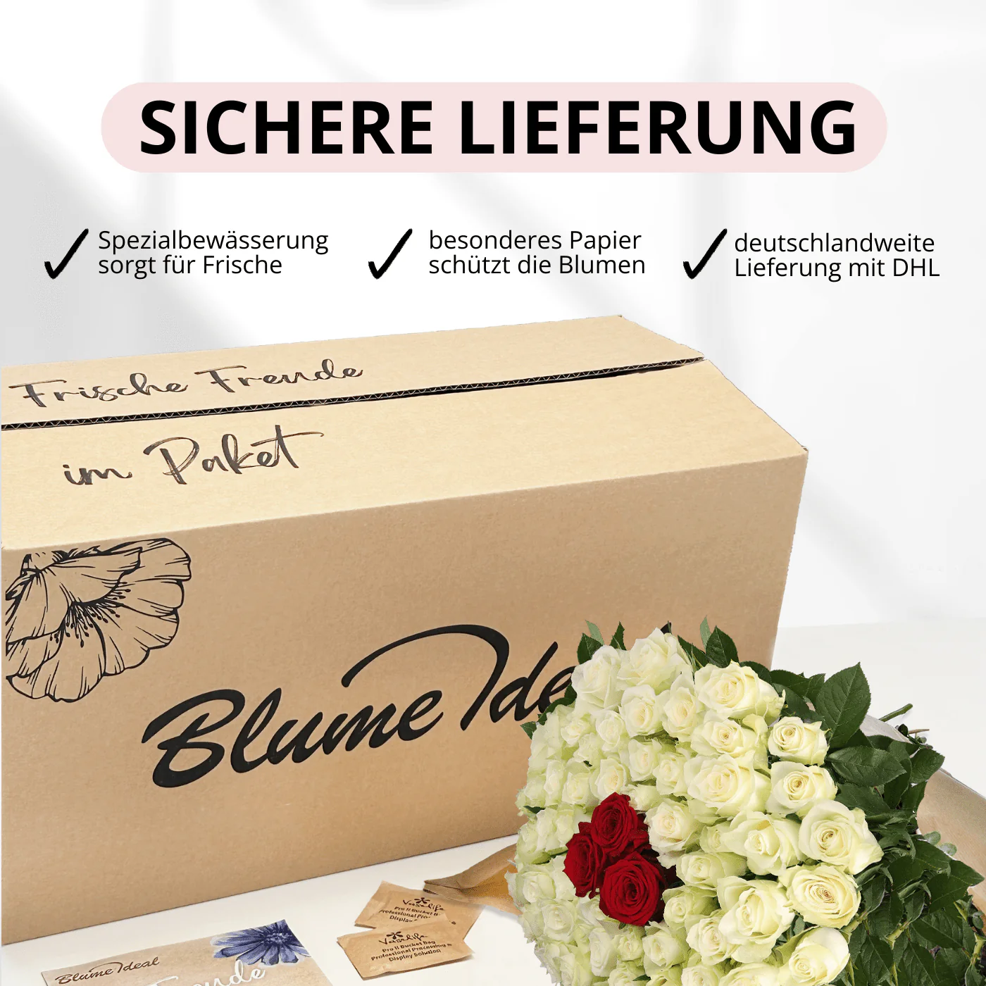 50 Rosen - "Nordlicht" - Image 4