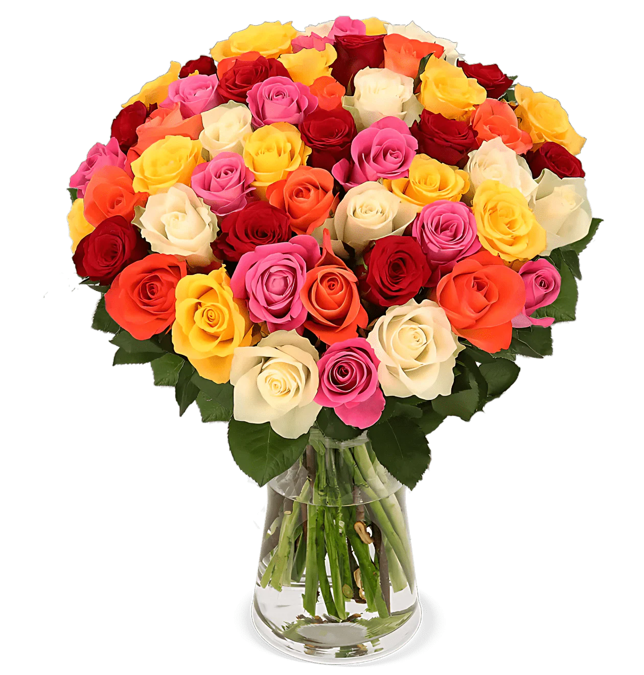 70 bunte Rosen