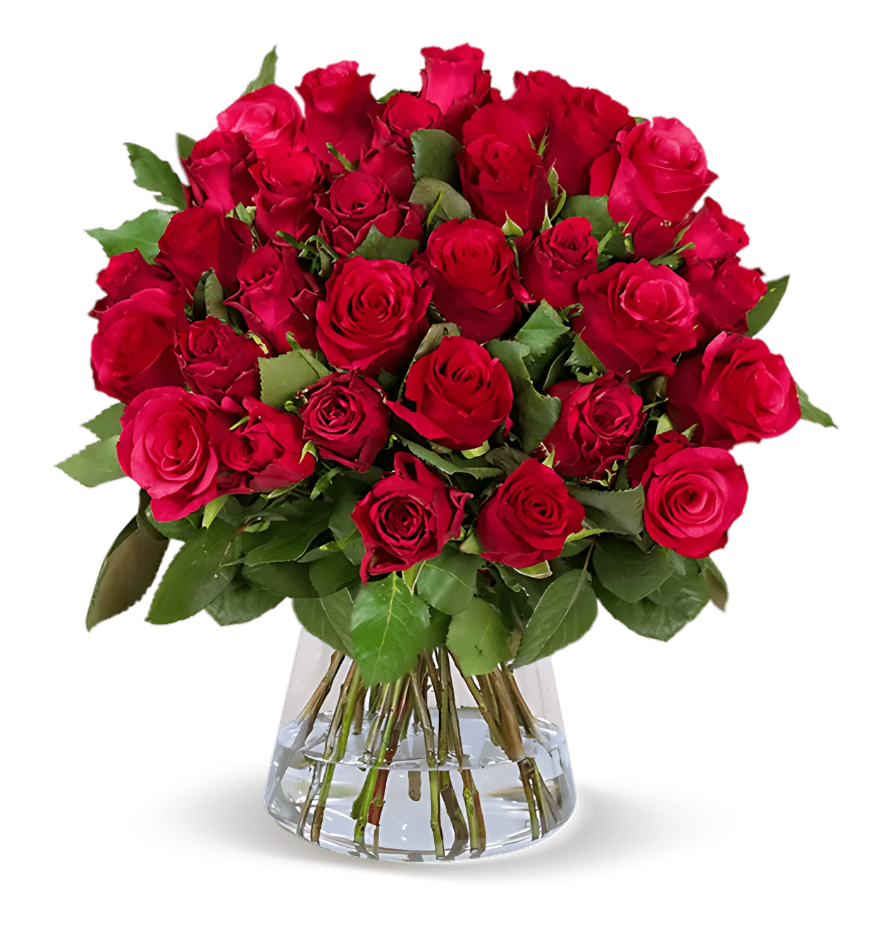 70 rote Rosen