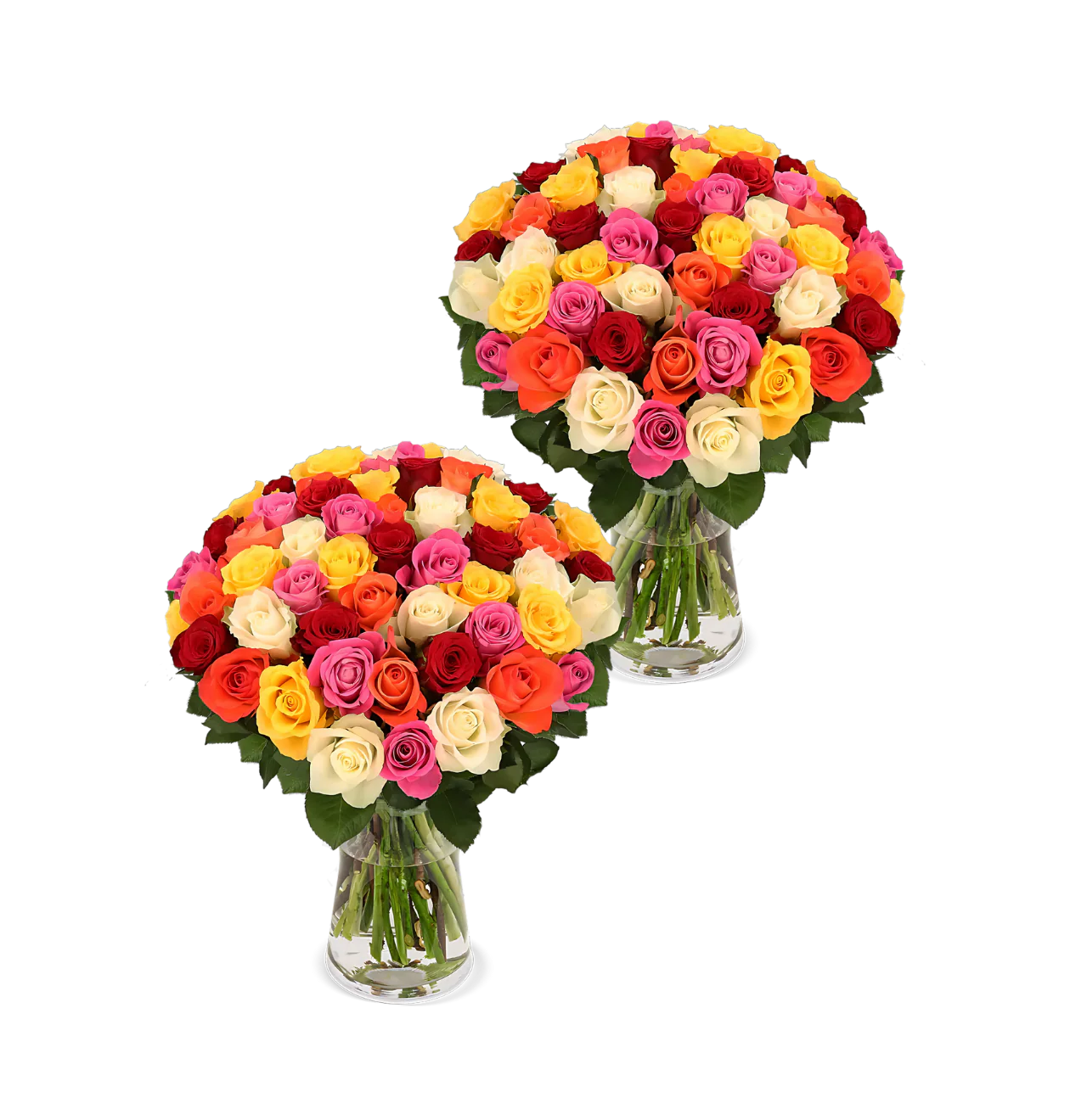 80 Bunte Rosen (2x40 Stück)