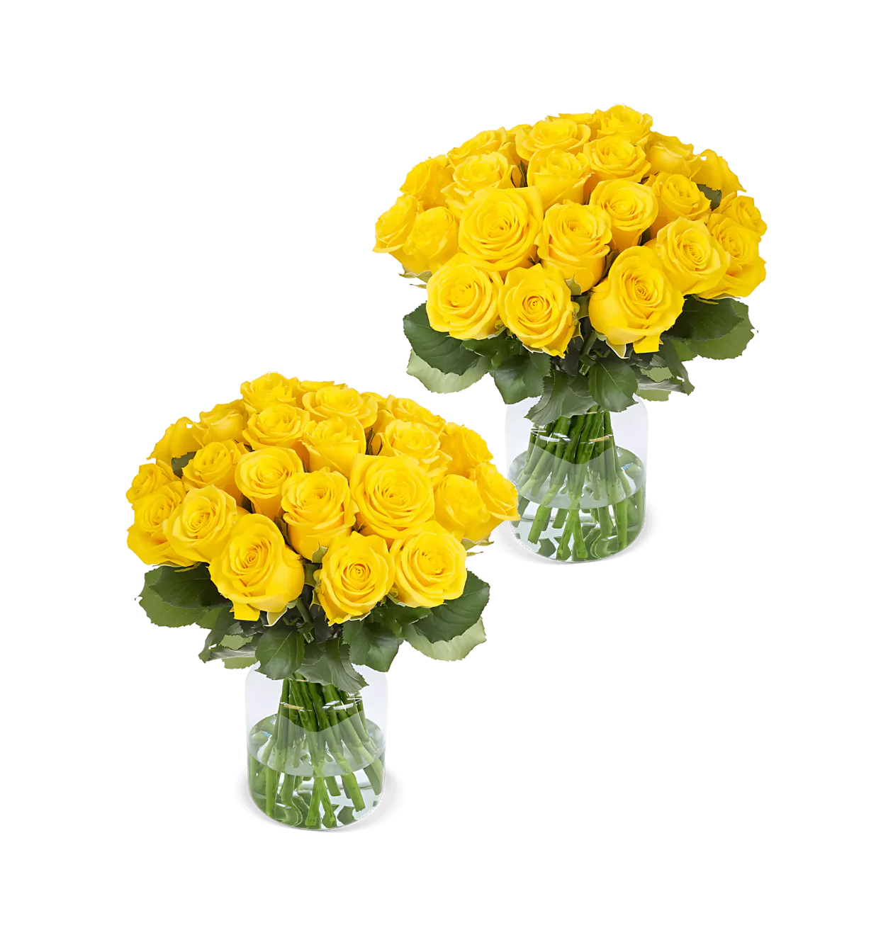 80 Gelbe Rosen (2x40 Stück)