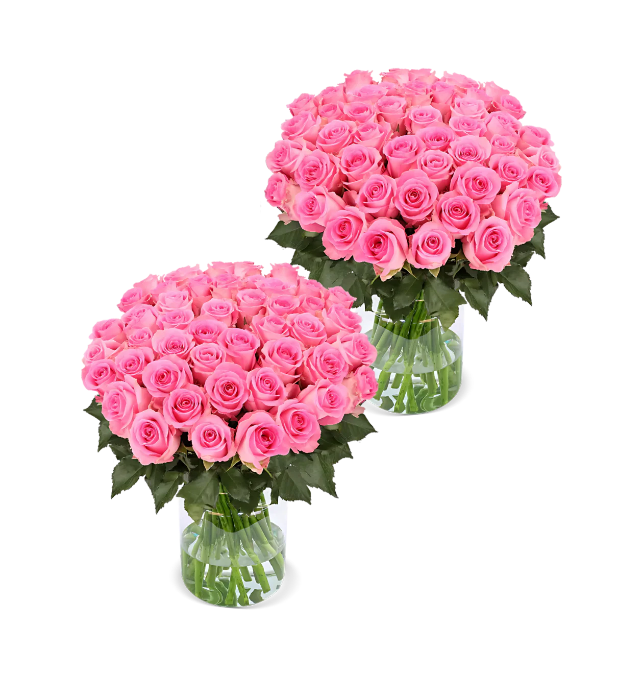 80 Pinke Rosen (2x40 Stück)