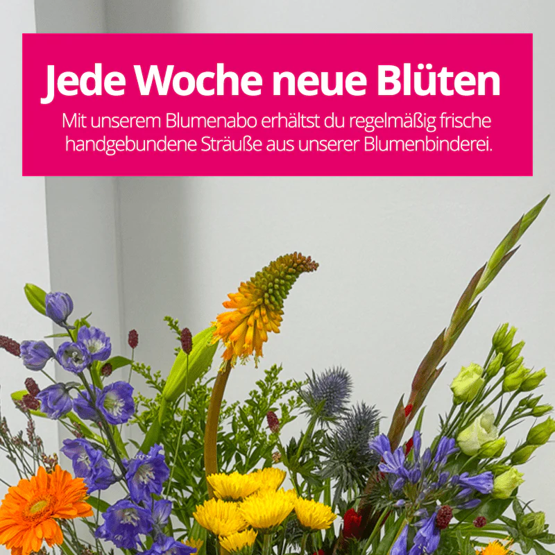 Blumenabo - Image 7