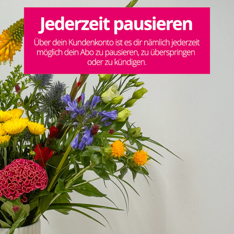 Blumenabo - Image 8