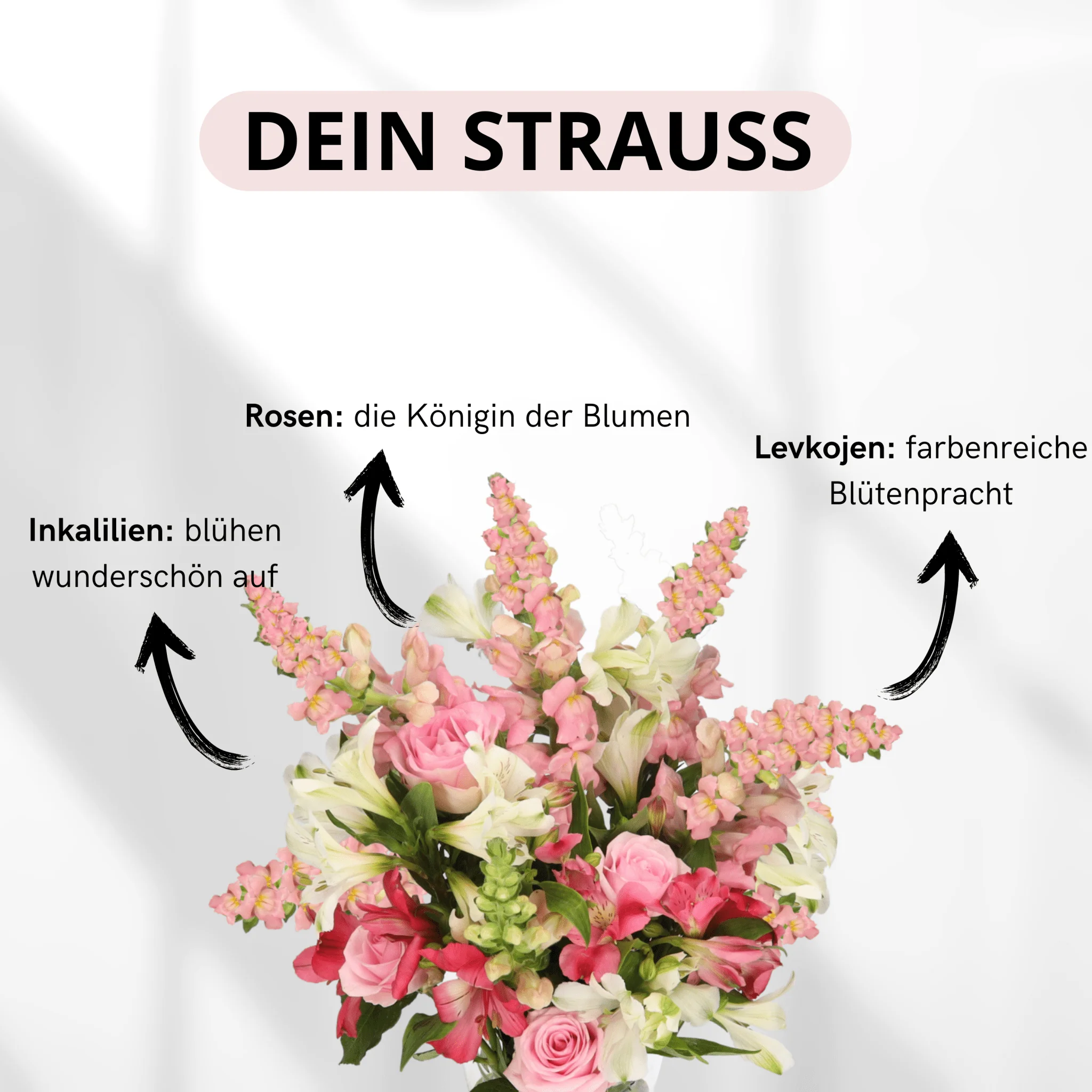 Blütenmeer - Image 3