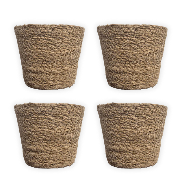 "EasyCare" Starter Set | 4er-Set + Zubehör | ca. 30-60 cm | Ø 12-15 cm Topf - Image 3