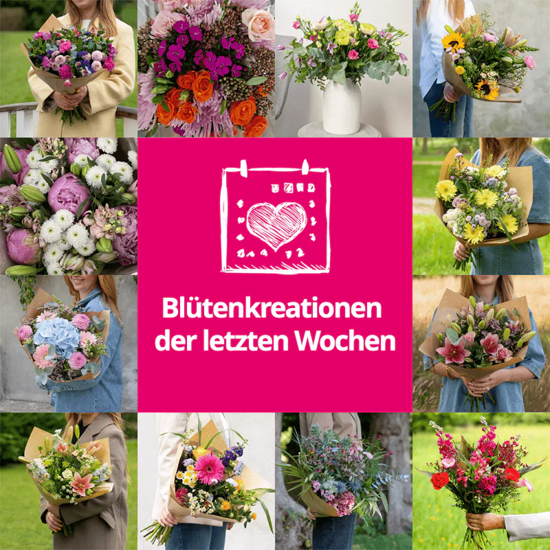 Frisch gepflückt - Jede Woche neues Design - Image 4