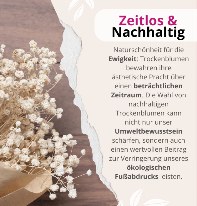 Trockenblumenstrauß "Lena" - Image 6